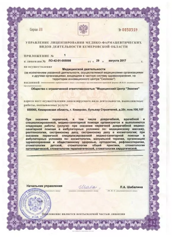 Приложение к лицензии на осуществление медицинской деятельности